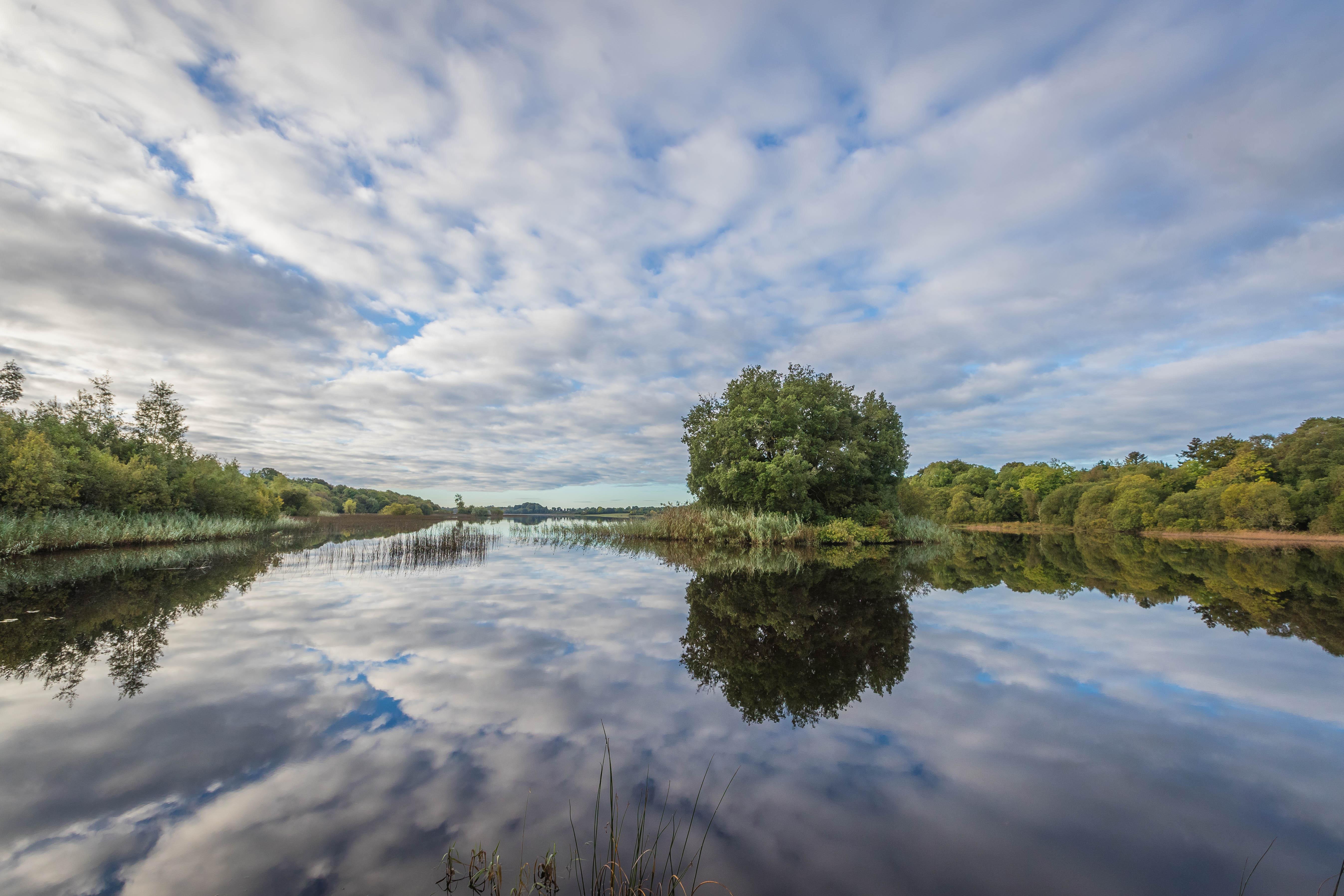 Lough Rynn Castle Hotel Mohill Ngoại thất bức ảnh